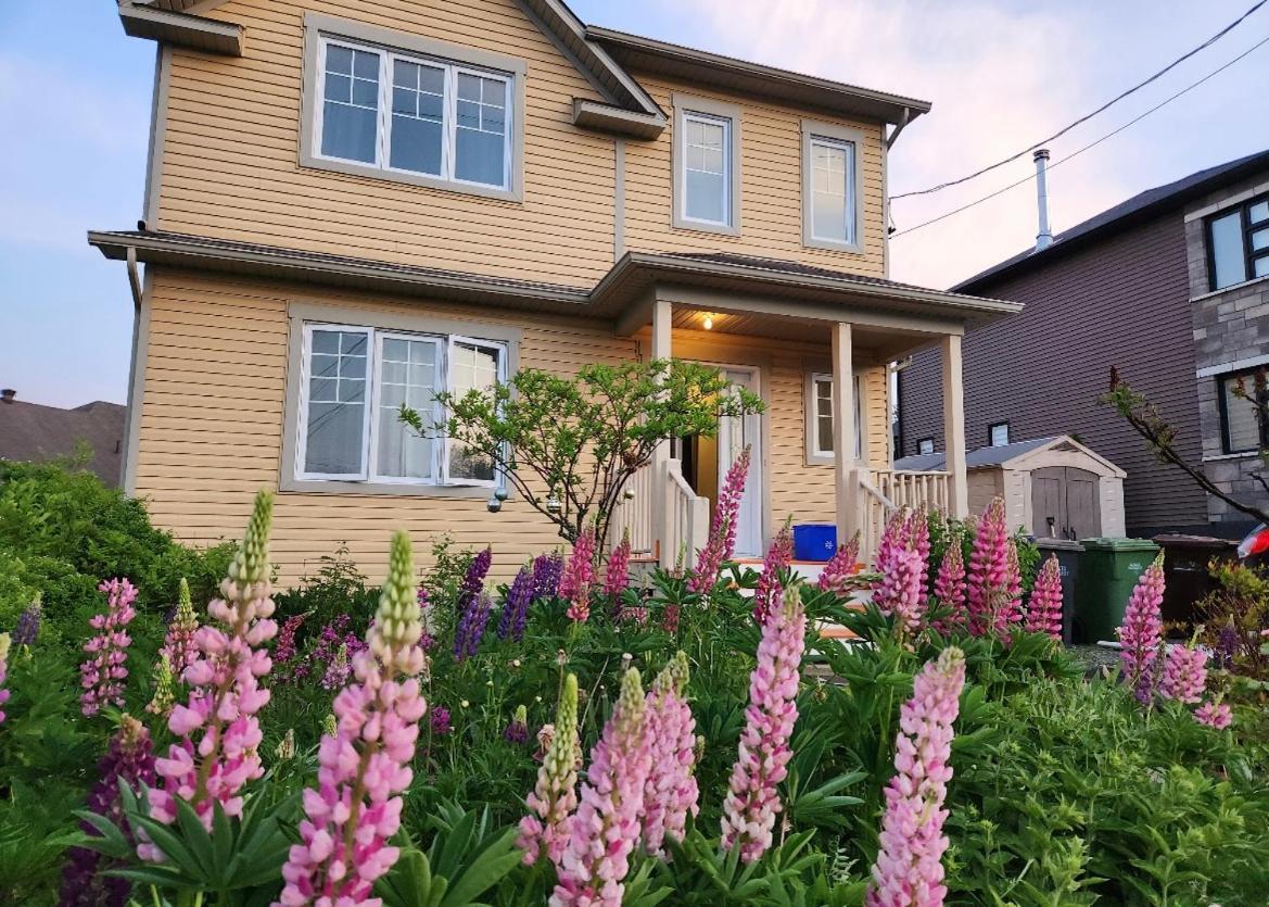 Maison Chaleureuse, Energetique Et Florale Sherbrooke Exterior foto